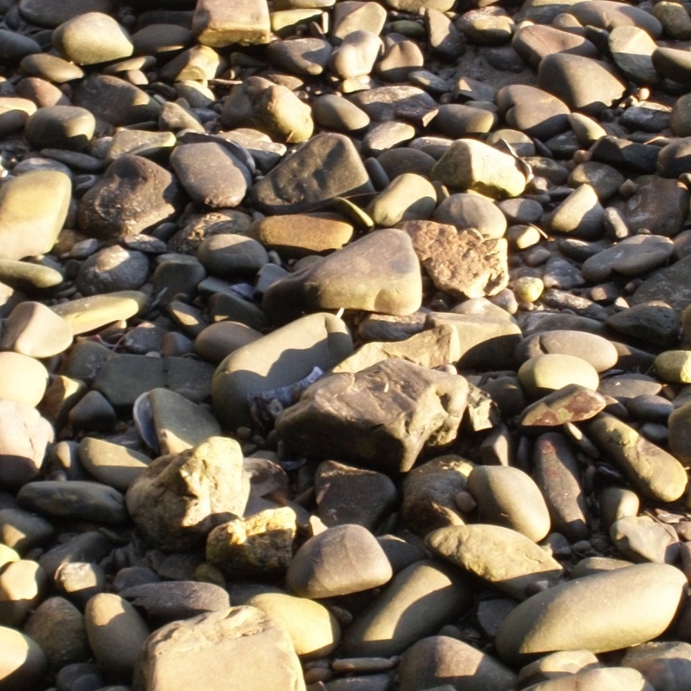 Meet your Posher, Gretchen